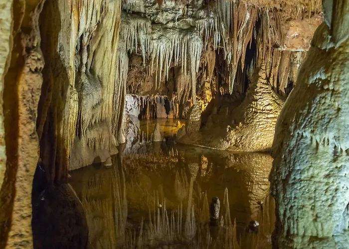 One-bedroom 24 Appartement Poreč